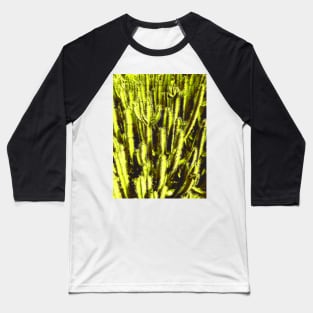 Cacti Baseball T-Shirt